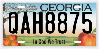 GA license plate QAH8875