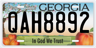 GA license plate QAH8892