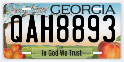 GA license plate QAH8893