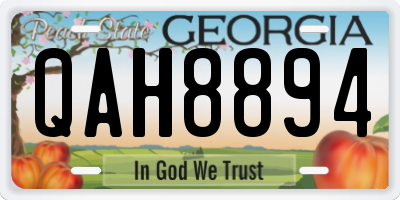 GA license plate QAH8894