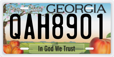 GA license plate QAH8901