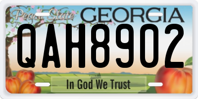 GA license plate QAH8902