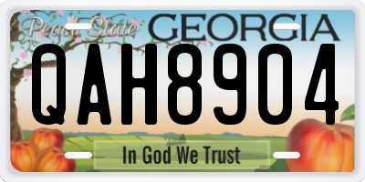 GA license plate QAH8904