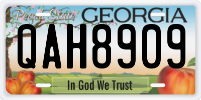 GA license plate QAH8909