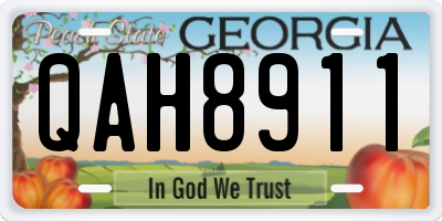 GA license plate QAH8911