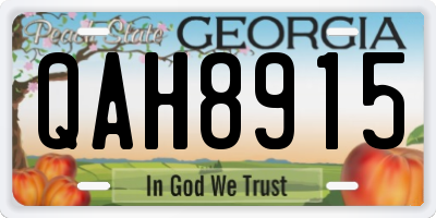 GA license plate QAH8915