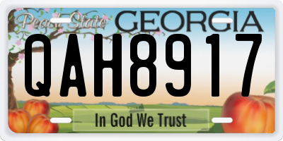 GA license plate QAH8917