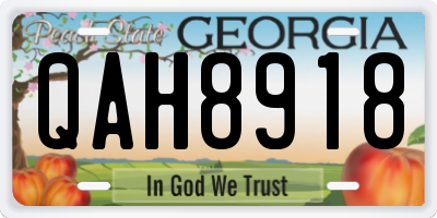 GA license plate QAH8918