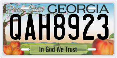 GA license plate QAH8923