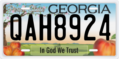 GA license plate QAH8924