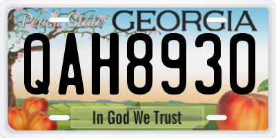 GA license plate QAH8930