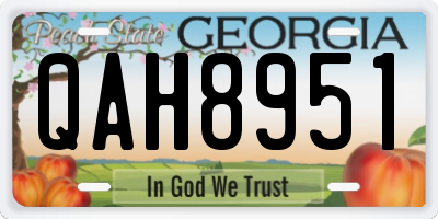 GA license plate QAH8951