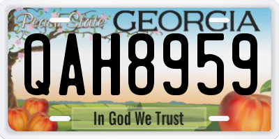 GA license plate QAH8959