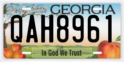 GA license plate QAH8961