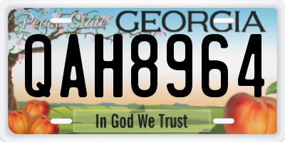 GA license plate QAH8964