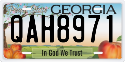 GA license plate QAH8971