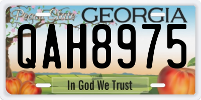 GA license plate QAH8975