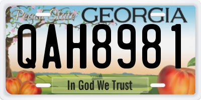 GA license plate QAH8981