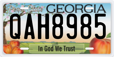 GA license plate QAH8985