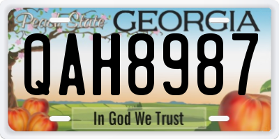 GA license plate QAH8987