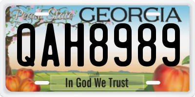 GA license plate QAH8989