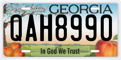 GA license plate QAH8990