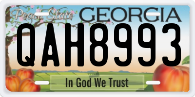 GA license plate QAH8993
