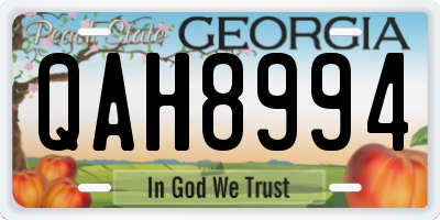 GA license plate QAH8994