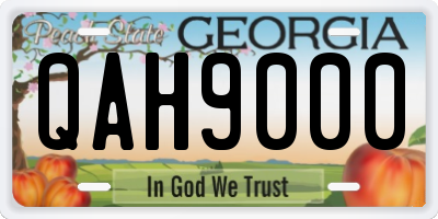 GA license plate QAH9000