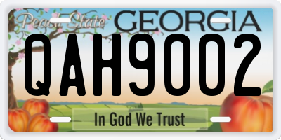 GA license plate QAH9002