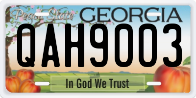 GA license plate QAH9003