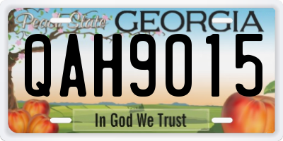 GA license plate QAH9015