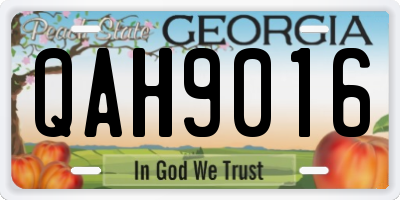 GA license plate QAH9016