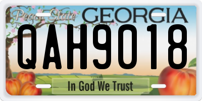 GA license plate QAH9018