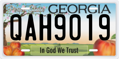 GA license plate QAH9019