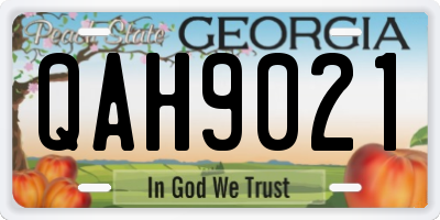 GA license plate QAH9021