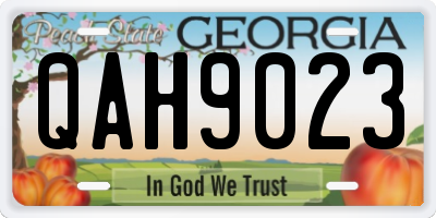 GA license plate QAH9023