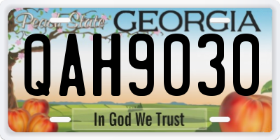 GA license plate QAH9030