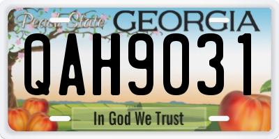 GA license plate QAH9031