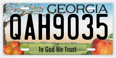 GA license plate QAH9035