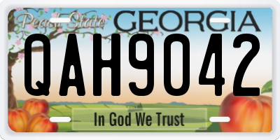 GA license plate QAH9042