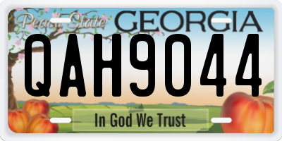 GA license plate QAH9044