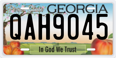 GA license plate QAH9045