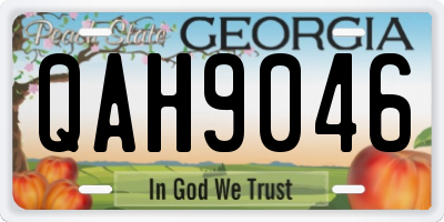 GA license plate QAH9046