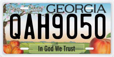 GA license plate QAH9050