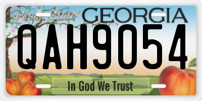 GA license plate QAH9054