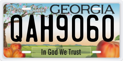 GA license plate QAH9060