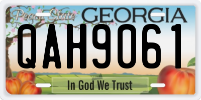 GA license plate QAH9061