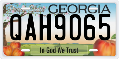 GA license plate QAH9065
