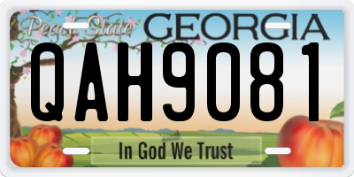 GA license plate QAH9081